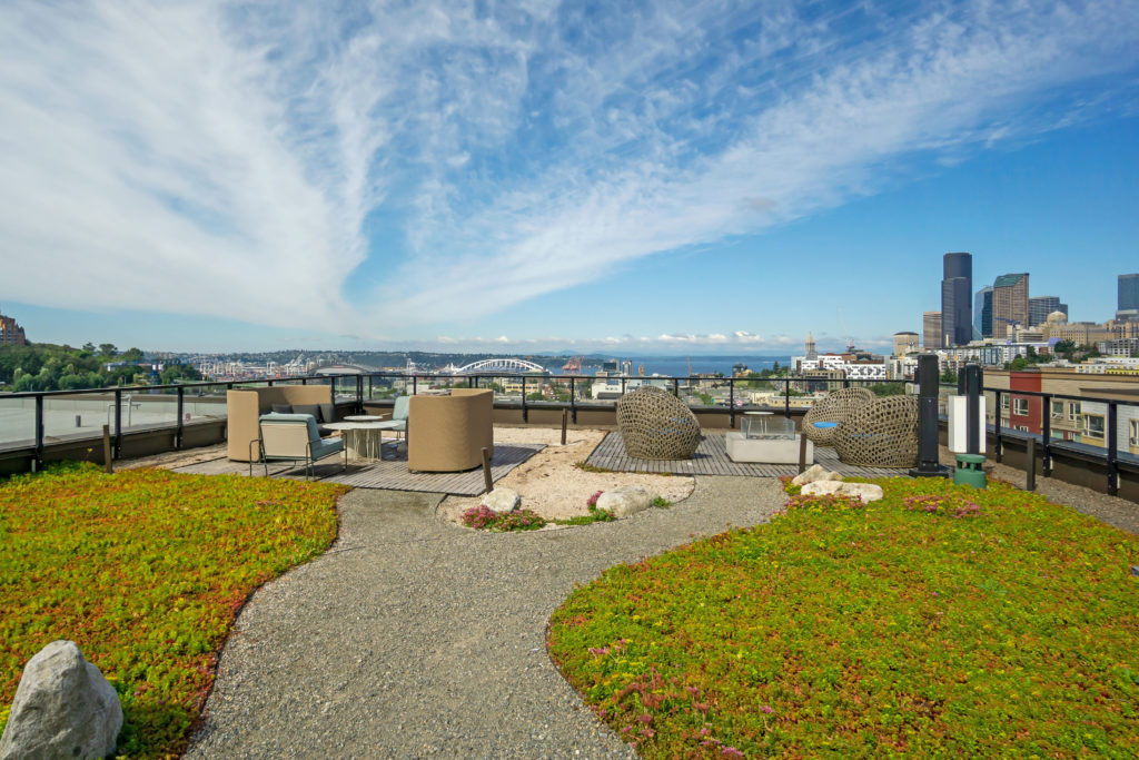 Rooftop view and seating